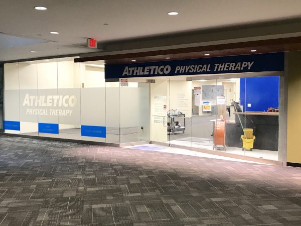 physical therapy detroit MI