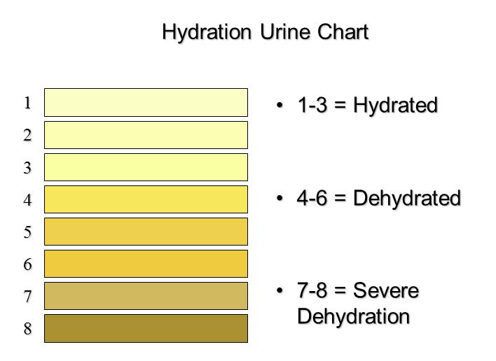 Proper Hydration Chart