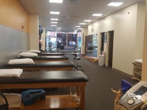 physical therapy lincoln park south