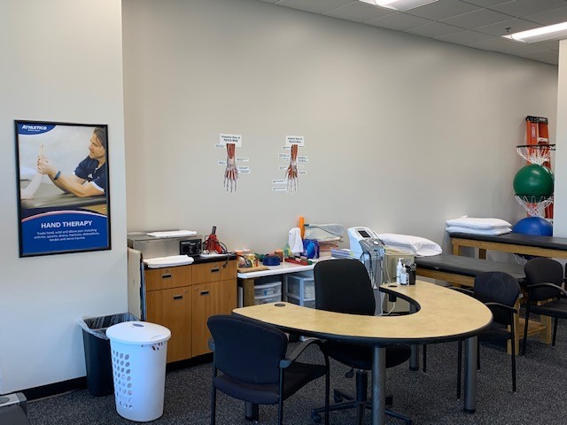 physical therapy elk grove village