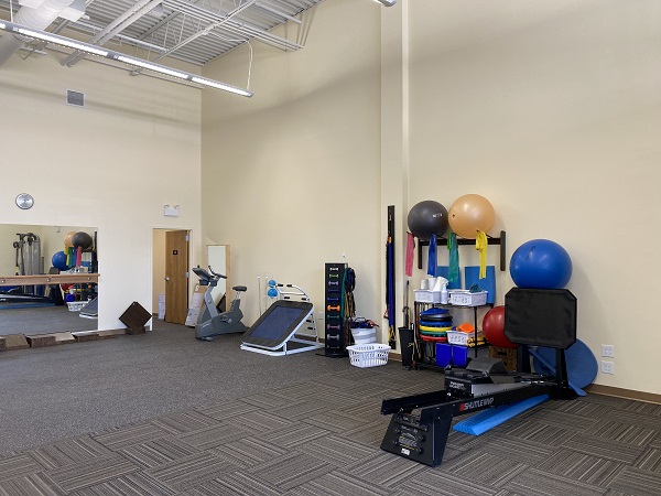 physical therapy lincoln park chicago IL