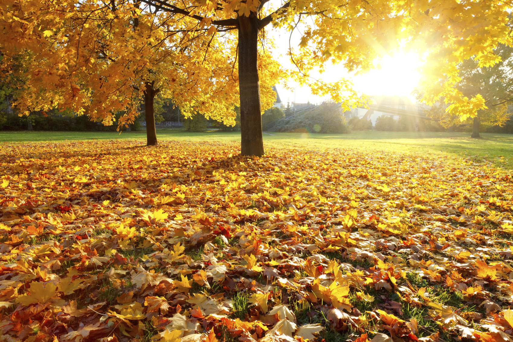 A Twist on Fall Fitness: Helpful Resources for Some Family Friendly Fun