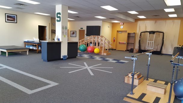 physical therapy eaton rapids MI