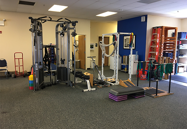 physical therapy lockport IL