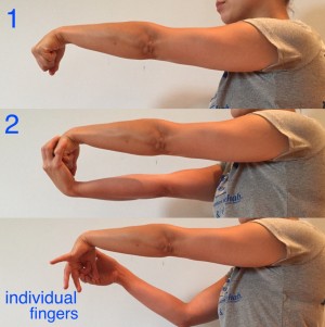 wrist flexion