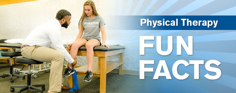 physical therapy fun facts