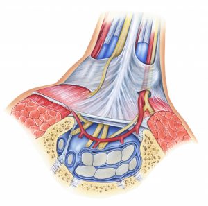 Sleep Positioning and Carpal Tunnel Syndrome