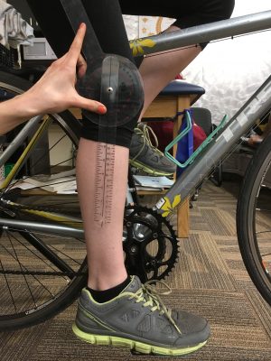 Bike Fitting Tips for Beginners