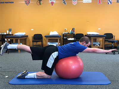 Stability Ball Quadruped Arm/Leg Raise