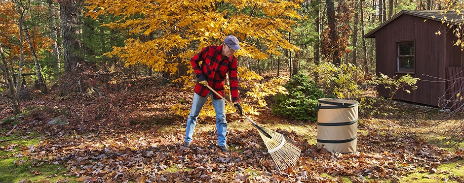 6 Stretches to Try Before Raking the Leaves