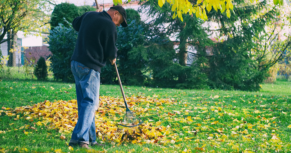 Leaf Raking Injury Prevention Tips Athletico