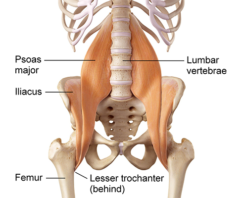 What is Ischiofemoral Impingement? 