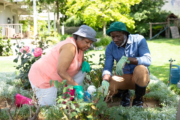 My favorite tools for gardening with arthritis