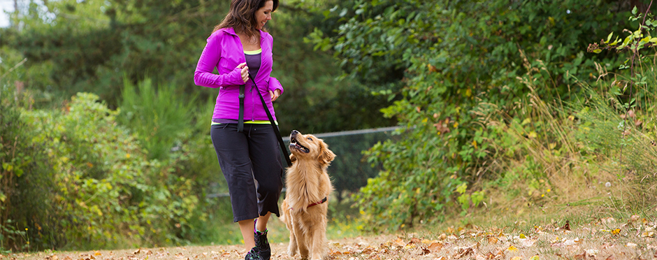 Why does exercise make you feel better